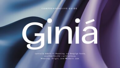 giniä